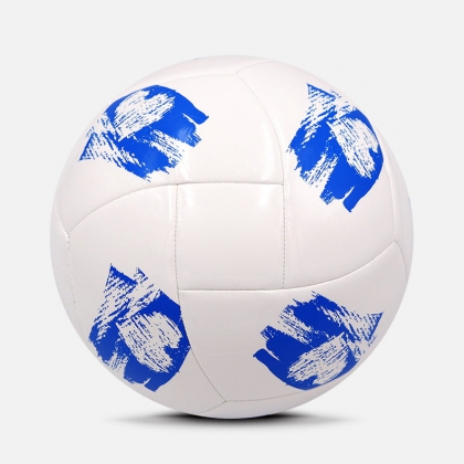 Training Ball